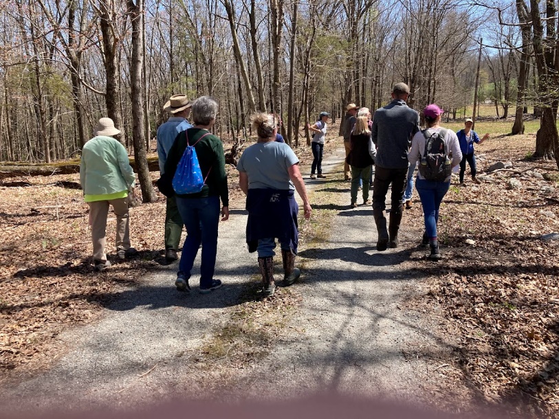 Tree Walk